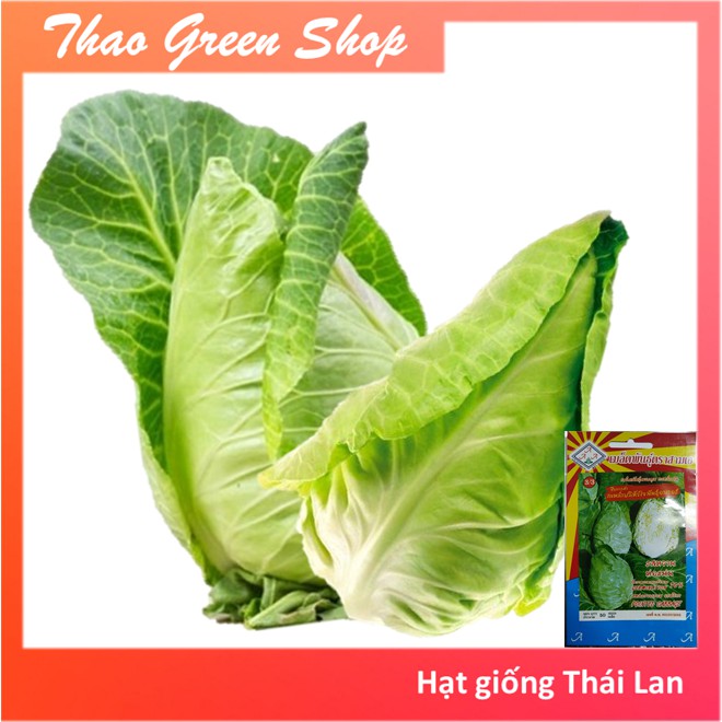 Hạt giống bắp cải trái tim chuẩn giống Thái Lan 50 hạt