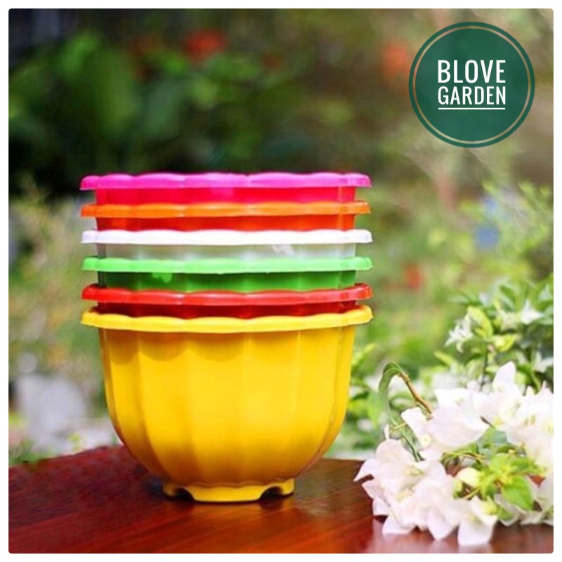 Chậu nhựa treo hình quả bí size 23x16 trồng cây ban công, nhà hàng, quán cafe có móc treo