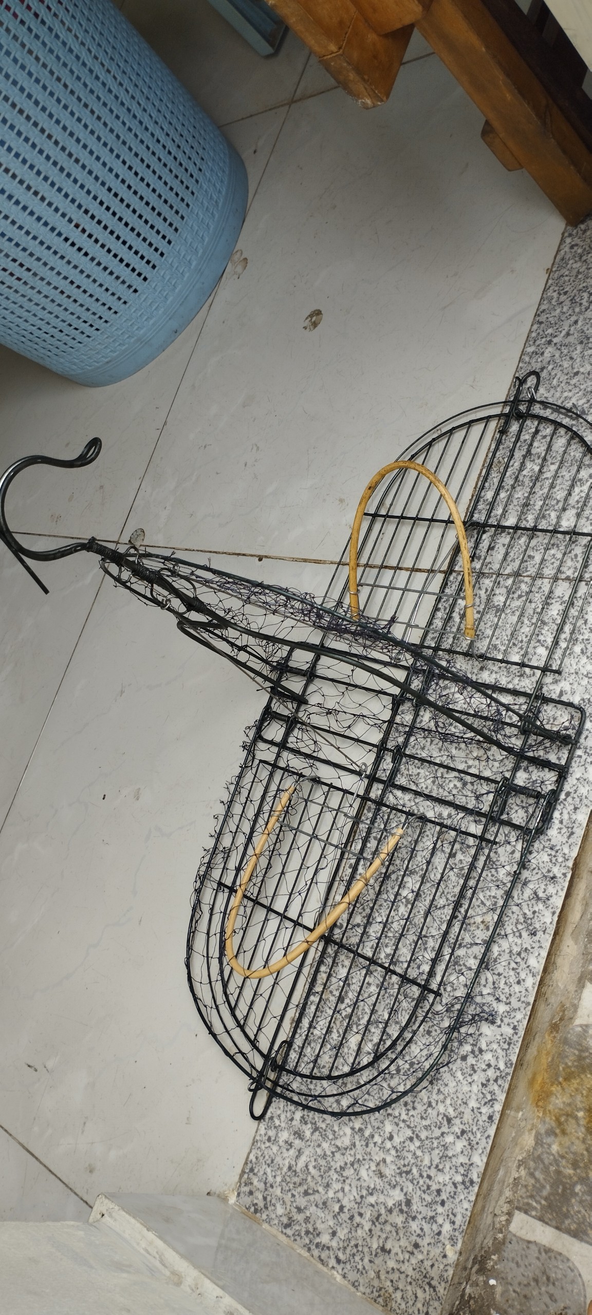 Mẹt bẫy chim chòe, chào mào,mi