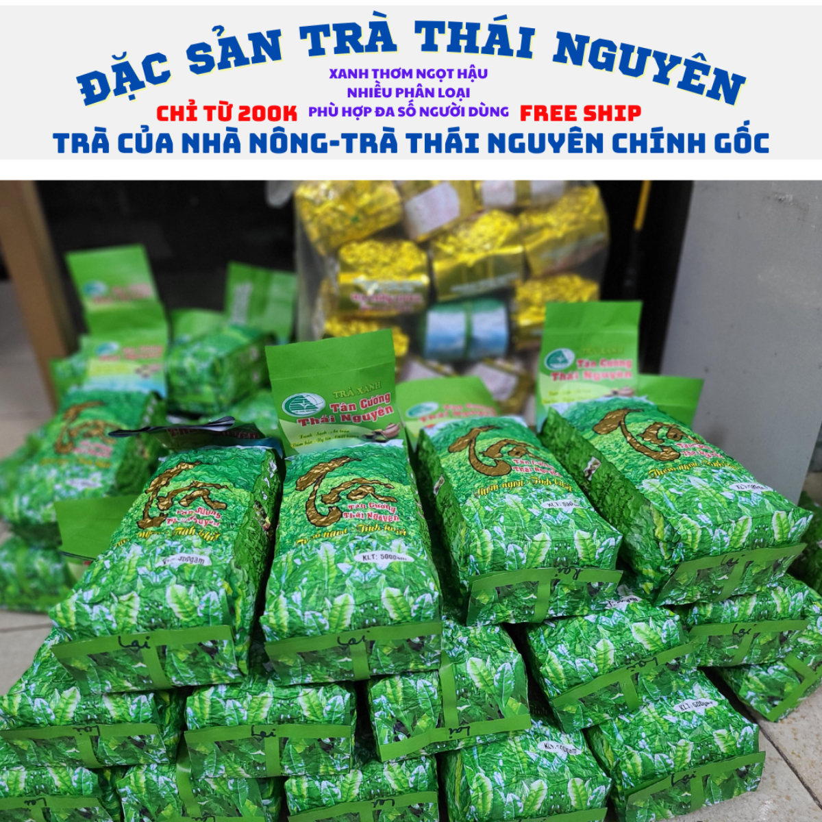 Trà búp thái nguyên Trà móc câu tân cương bình dân loại ngon.Trà tân cương thái nguyên.Chè tân cương chất lượng cao giá tốt