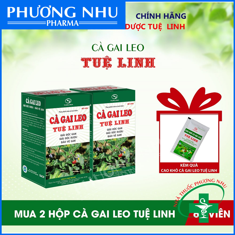 Combo 2 hộp cà gai leo tuệ linh - hộp 60v