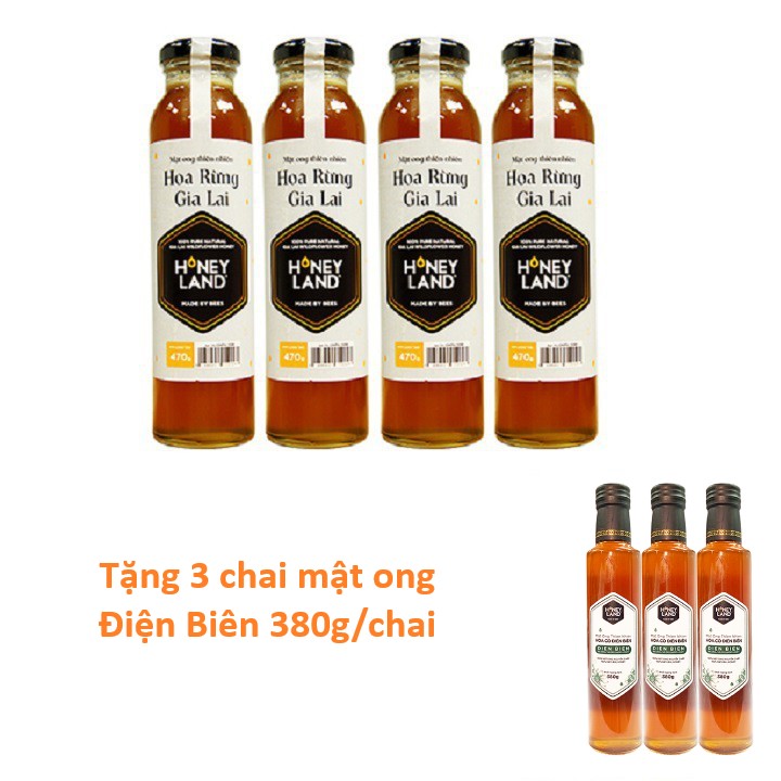 [Honey Land] Combo 4 chai mật ong Gia Lai (470gr/chai) Tặng 3 chai Mật ong Điện Biên (380gr/chai)