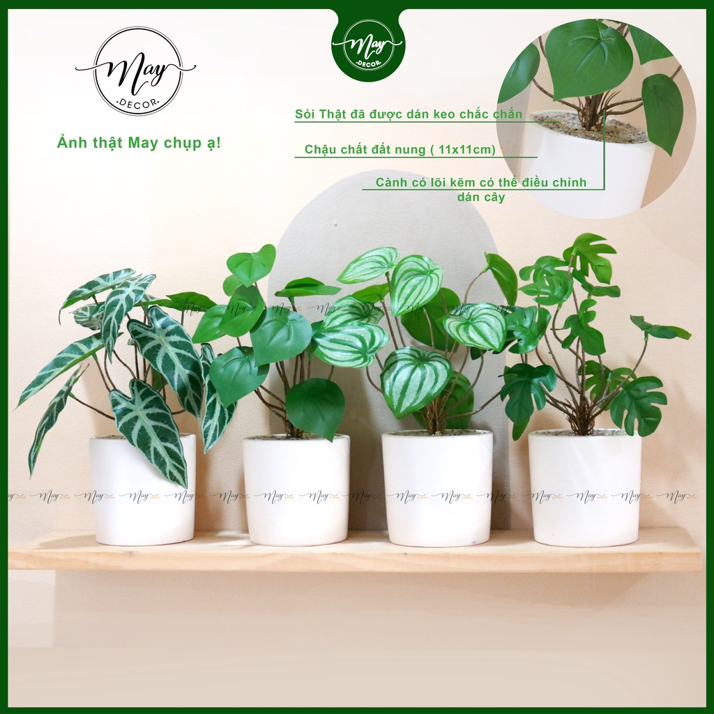 Chậu cây giả, cây niên thanh 12 lá, môn quan âm, hạnh tiên thảo, trầu bà để bàn trang trí cao 28cm