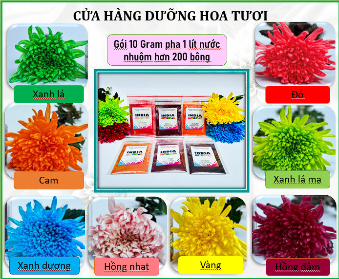 Thuốc nhuộm hoa tươi INDIAmàu nhuộm hoa tươi, bột nhuộm hoa, lên màu chuẩn, tiết kiệm chuyên cho hoa cắt cành