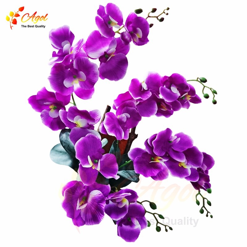 Lan Treo Tường 4 Cành Tím