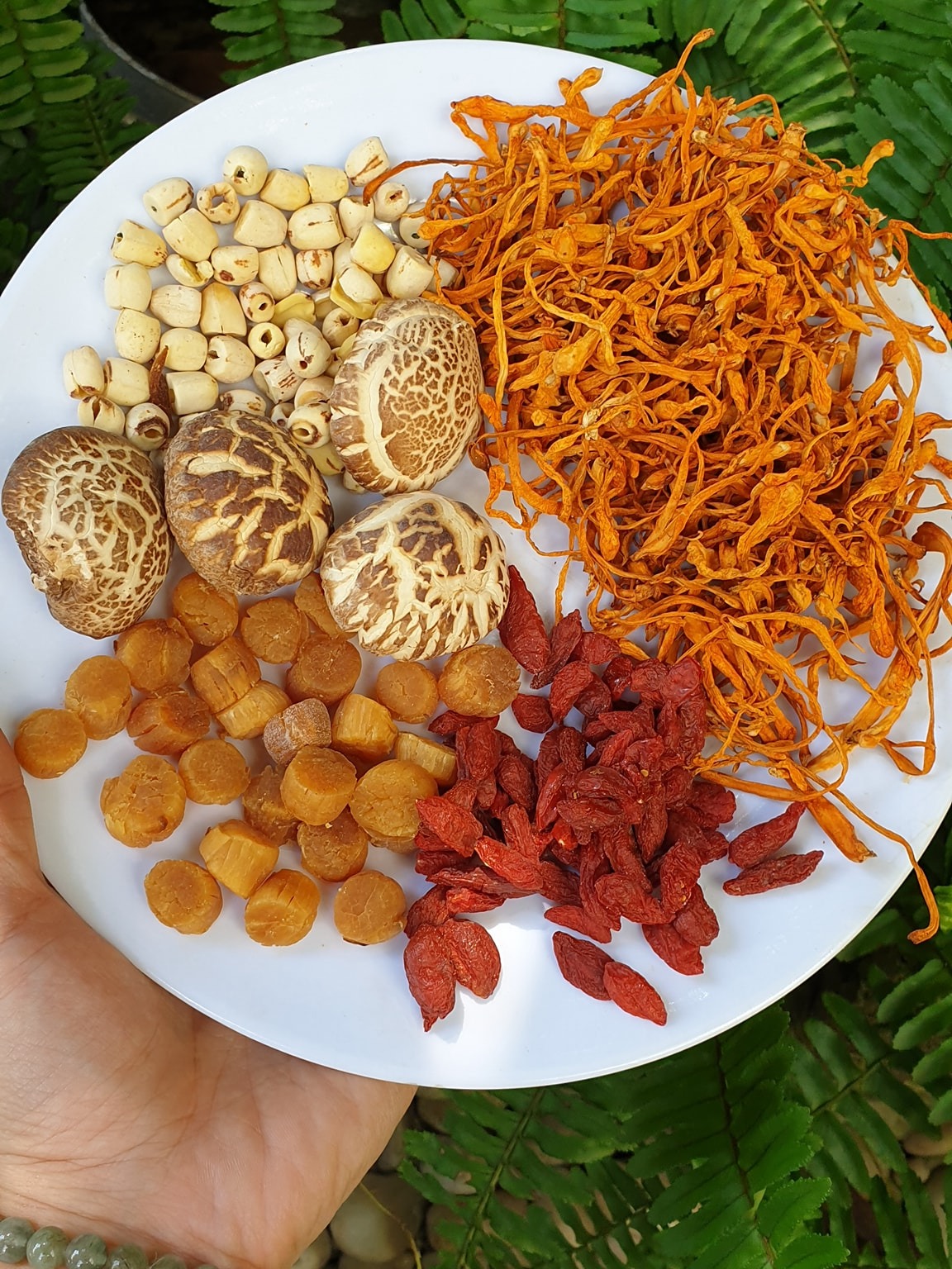 Set canh cồi điệp bông trùng thảo