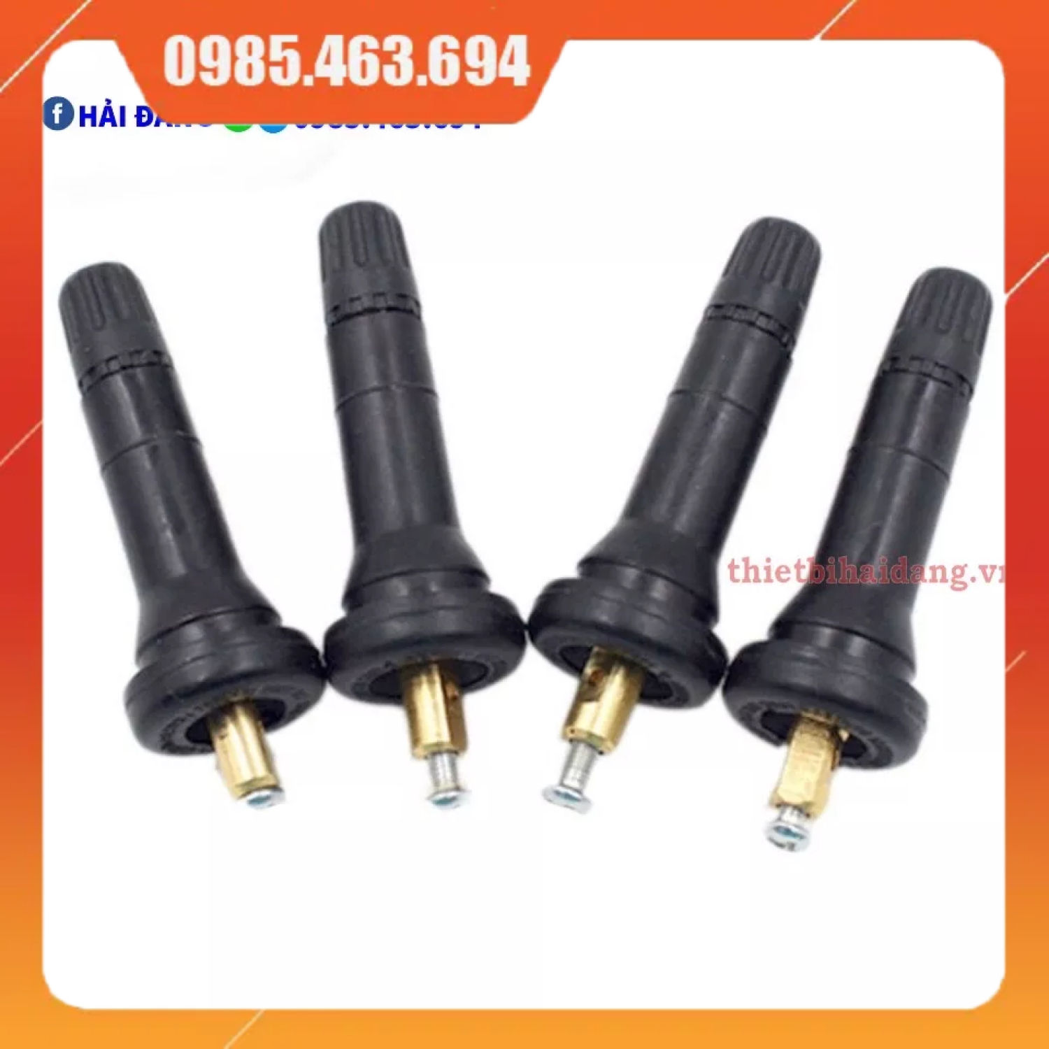 Chân Van Cảm Biến Áp Suất Lốp cho các dòng xe Ford Chevrolet Nissan Peugeot Citroen