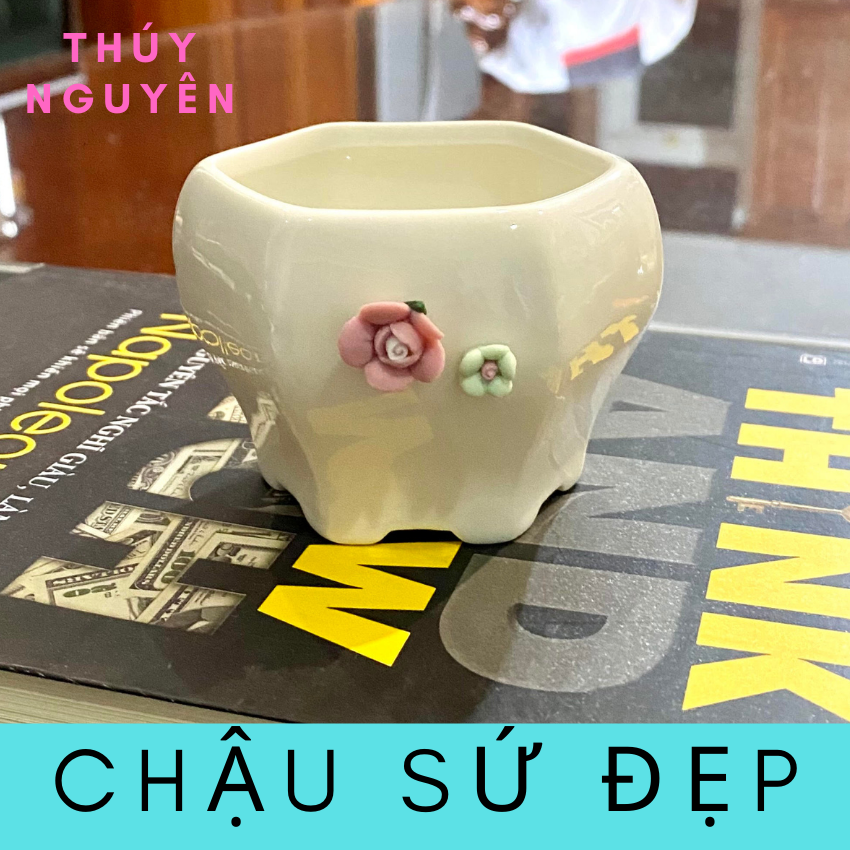 Chậu gốm sứ mini trồng sen đá