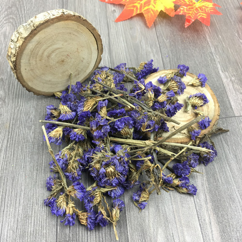 Hoa lưu ly sấy khô trang trí decor, làm nến thơm 369decor