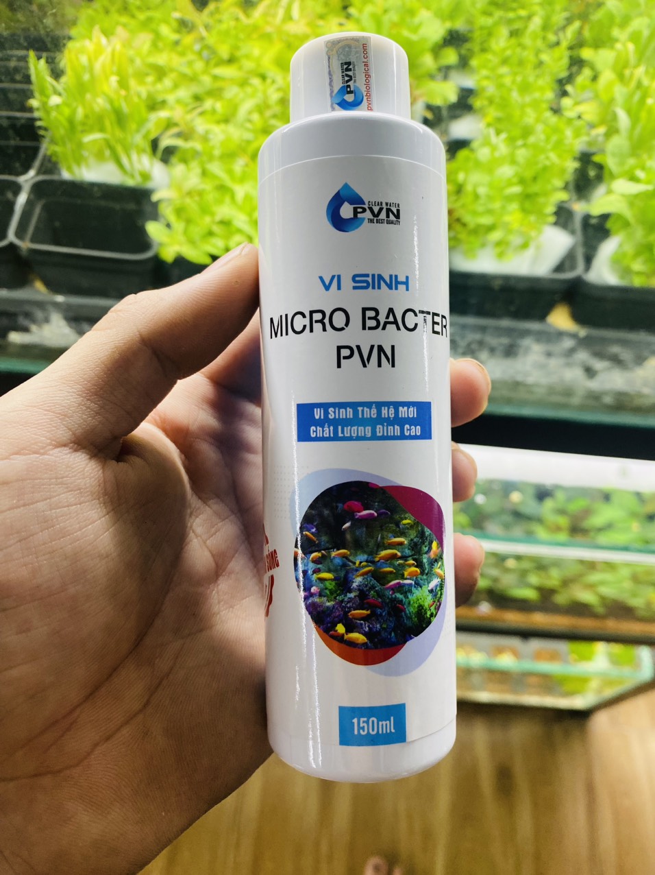 Vi sinh Micro Bacter PVN - Phân huỷ hữu cơ Decomp Bacter trong nước khử mùi tanh cao cấp | như multibio và extra bio