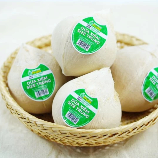 Dừa Sọ Tươi Ngon - Size M (350 - 450 gr) - Trái - FOODMAP Fruits - Combo 6 trái