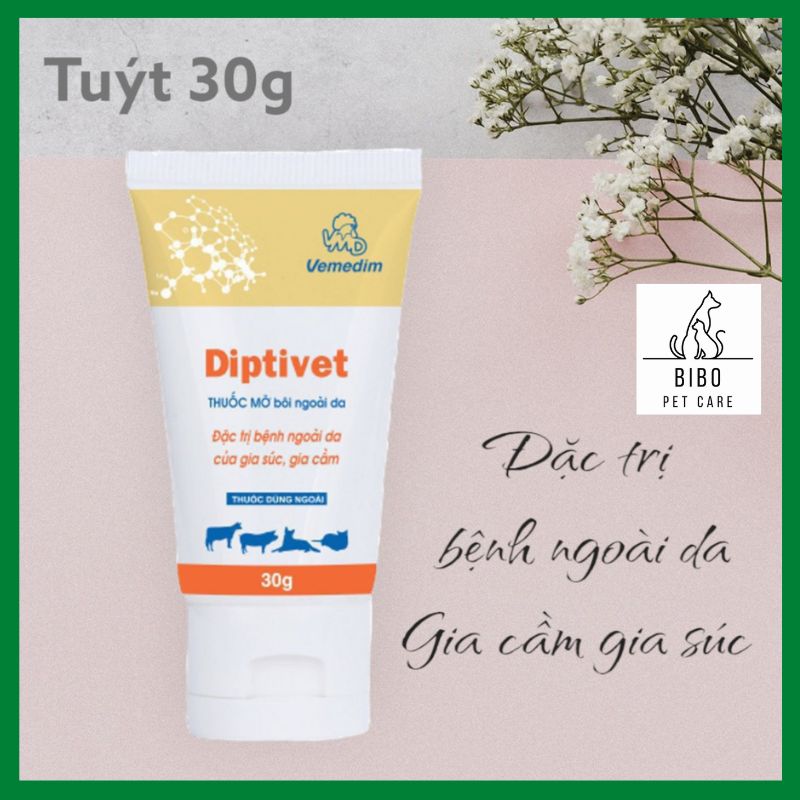 Diptivet 30g - Kem Bôi Nấm, Vết thương, Viêm Da, Xà Mâu, Ghẻ, Hà Móng Trên Gia Súc Và Gia Cầm Vật Nuôi - Bibopetcare