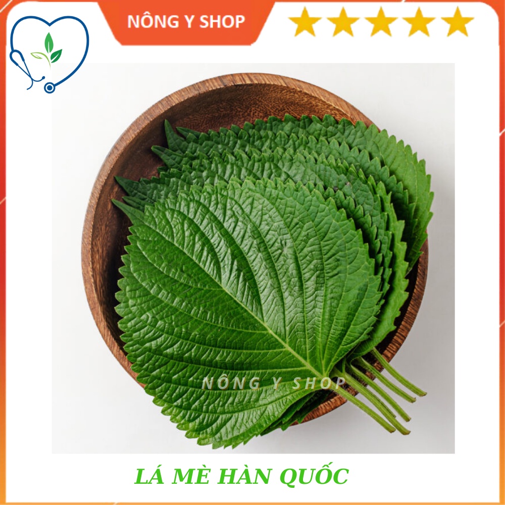 Hạt Giống Rau Thơm Mè Hàn Quốc Rạng Đông - RADO -  0.5g