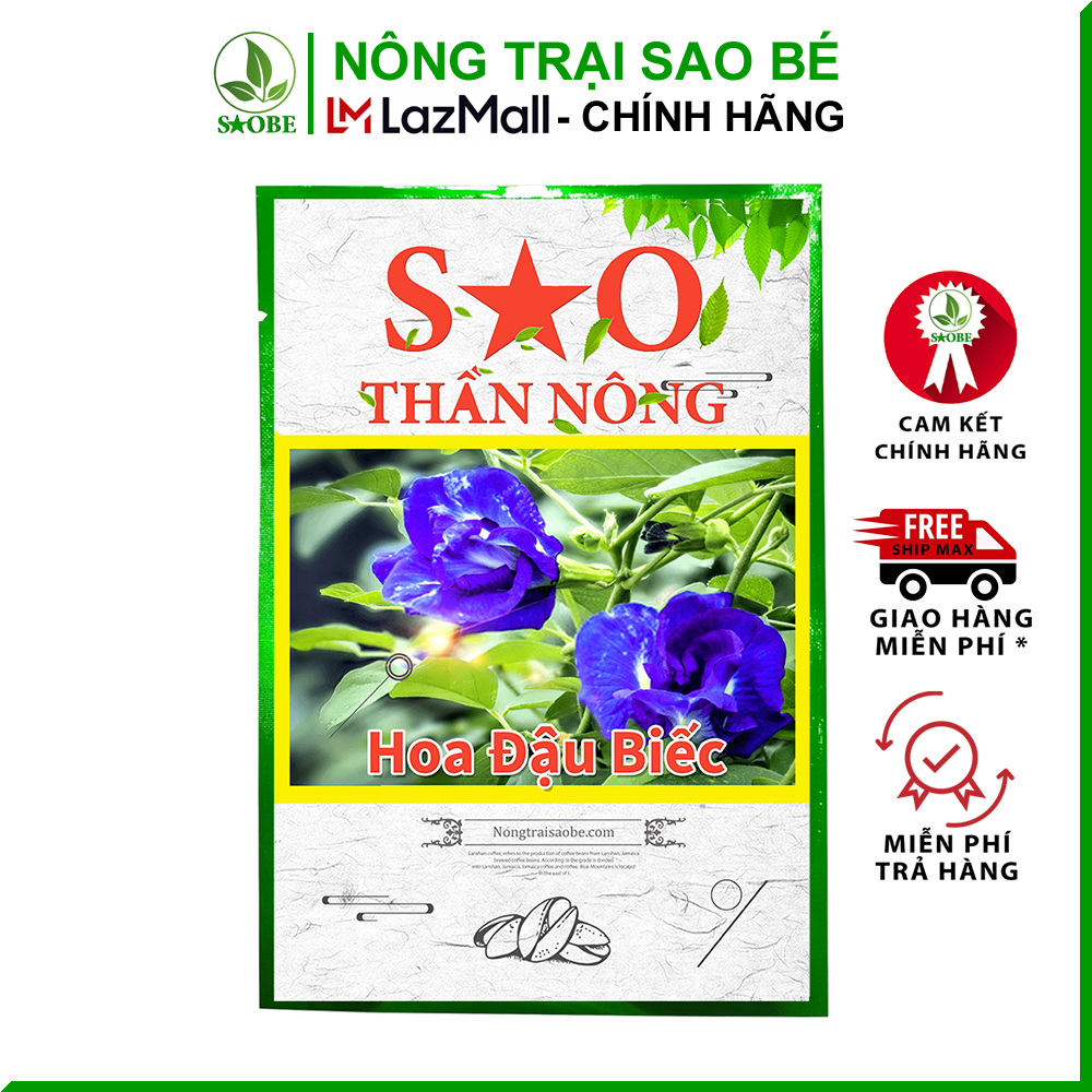 Hạt giống hoa đậu biếc Sao thần Nông nảy mầm cao cây khỏe kháng bệnh nhanh ra hoa