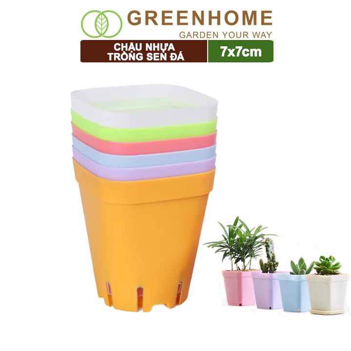 Chậu nhựa trồng sen đá, 7x7cm, bền, đẹp, màu sắc hiện đại, màu ngẫu nhiên, không dĩa