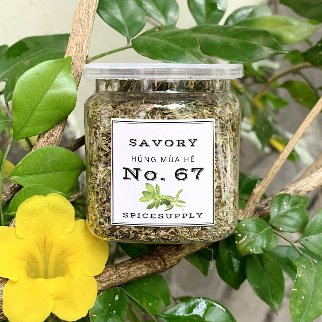 [HCM]Hũ 120ml Savory Leaves - Húng Mùa Hè
