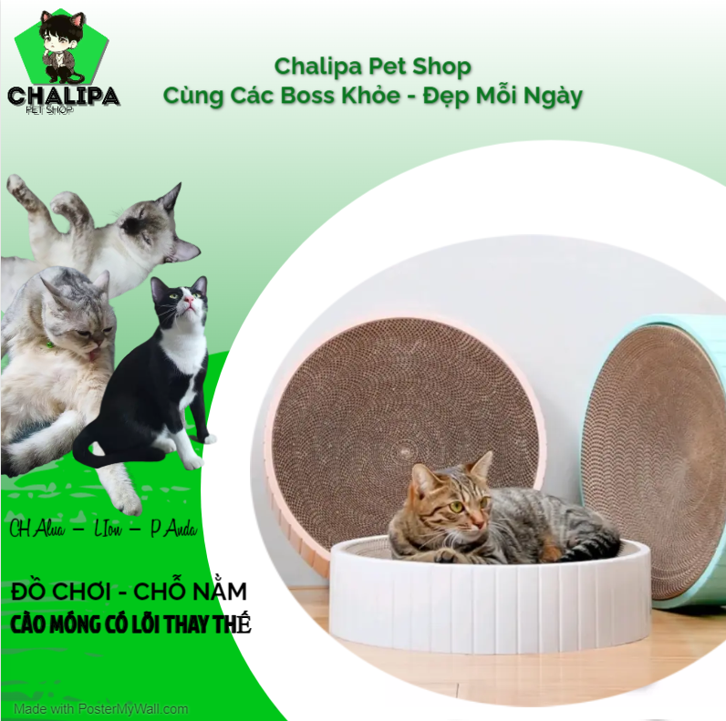 Bàn cào móng cho mèo hình tròn có thể thay thế lõi