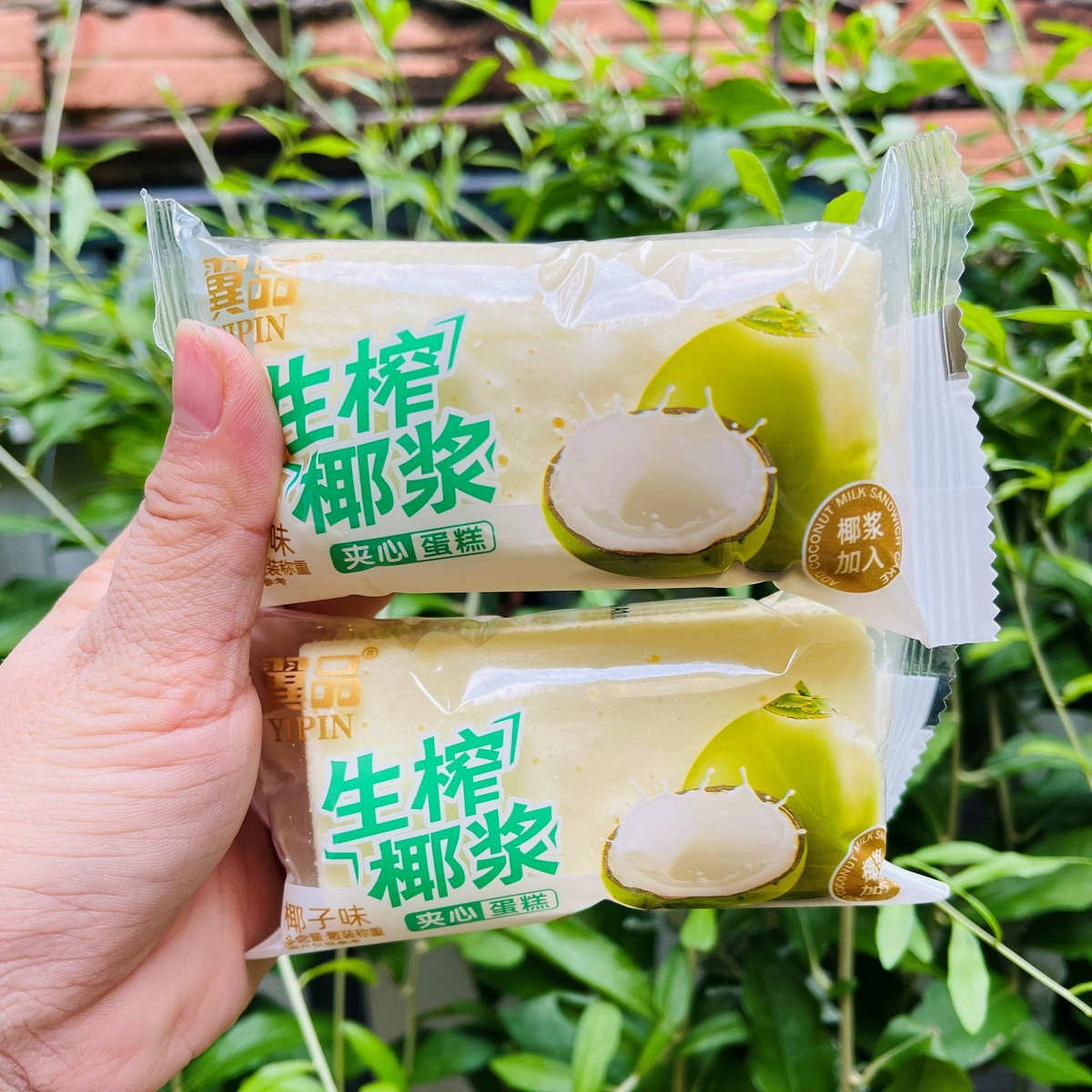 [ THÙNG 1KG ]Bánh Bông Lan Kem Vị DỪA Yipin Đài Loan