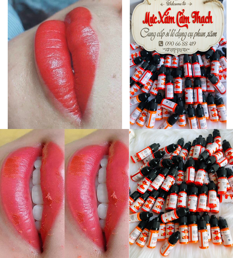 Mực xăm lt của mỹ 10ml