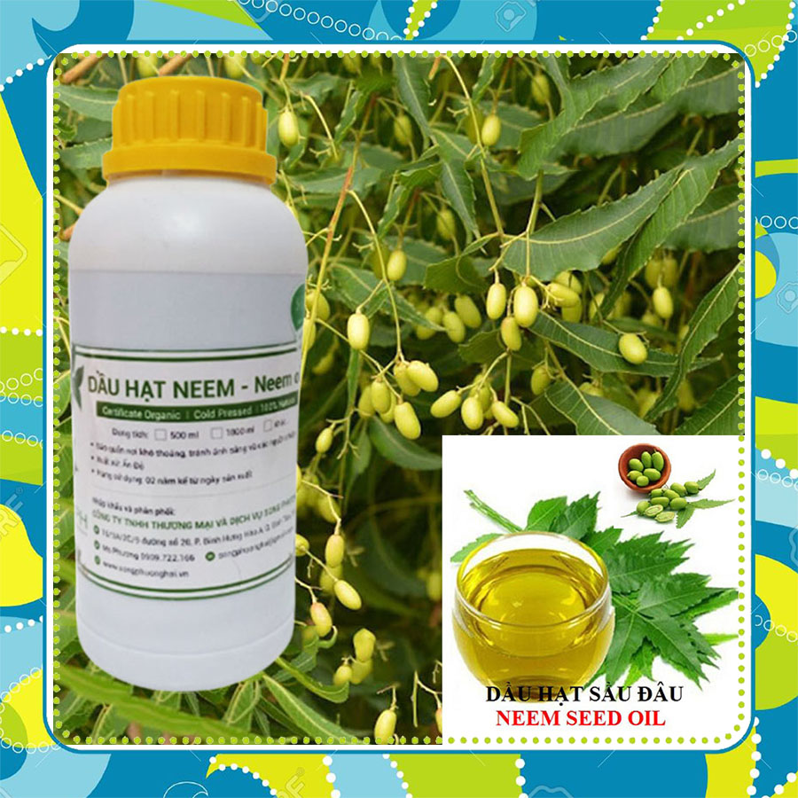 500ml Dầu Neem Oil hay Dầu Hạt Sầu Đâu hữu cơ phòng diệt sâu bệnh, rệp cho hoa hồng, cây cảnh