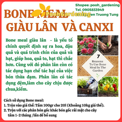 BONE MEAL - Từ Vỏ Sò Nước Ngọt - Mịn