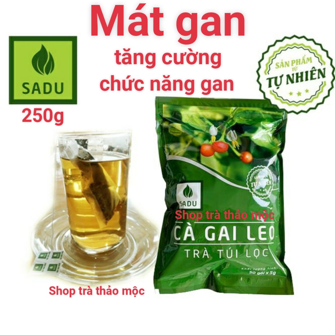 TRÀ TÚI LỌC CÀ GAI LEO SADU, BỊCH 250G GIẢI ĐỘC GAN-MÁT GAN-HẠ MEN GAN-ỨC CHẾ VIRUT