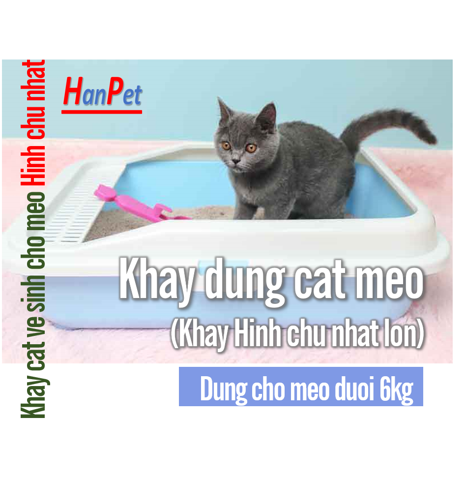 HCM - Khay vệ sinh mèo  Khay đựng cát vệ sinh cho mèo có