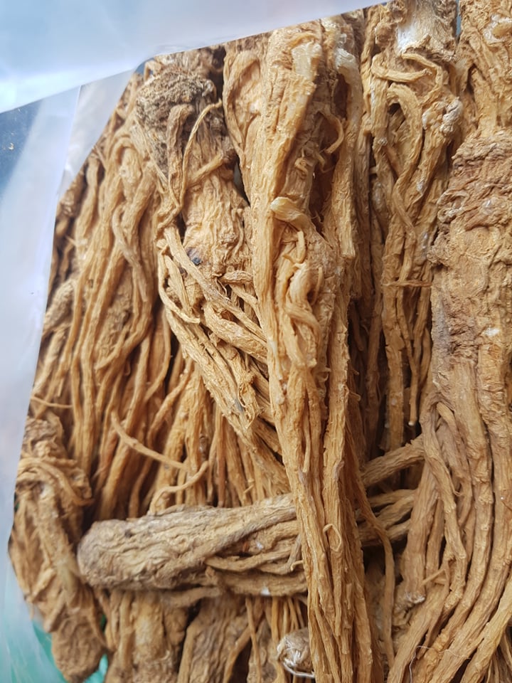 1kg sâm đương quy khô