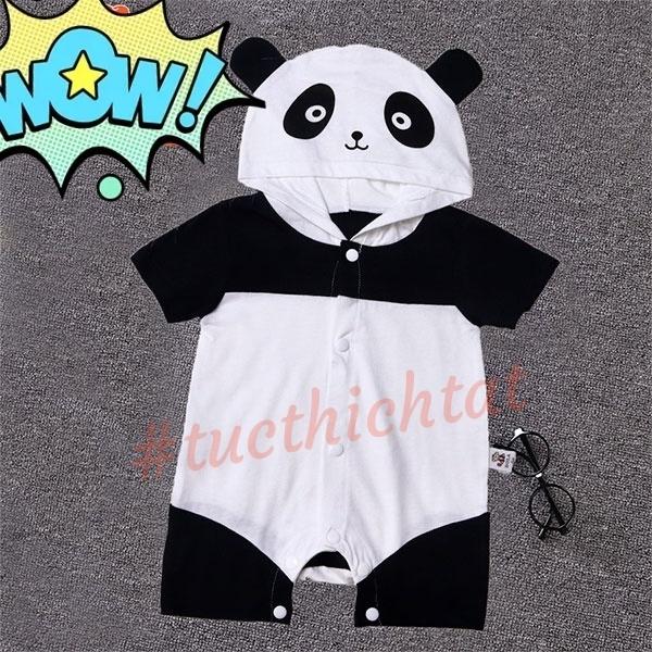 Body hình thú - Gấu trúc