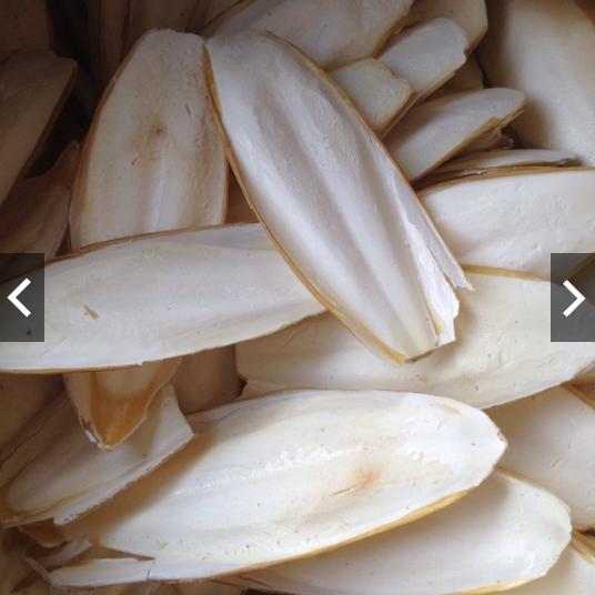 1kg nang mực