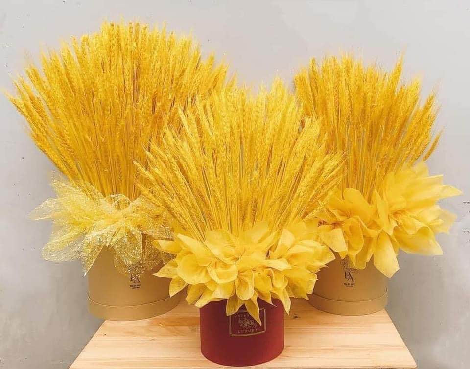 Bó 100 bông lúa mạch thờ thần tài, cầu tài lộc, may mắn
