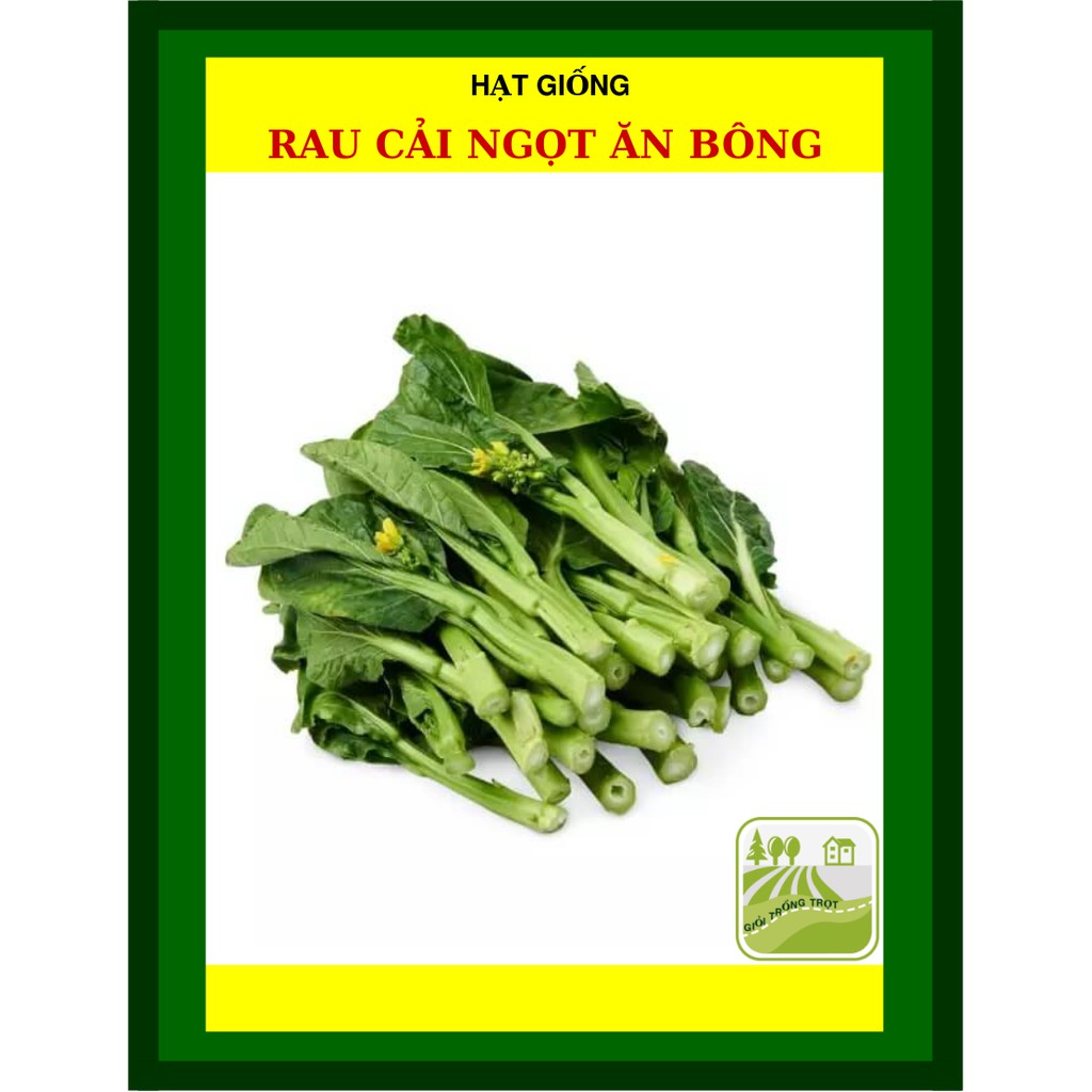 20G - Hạt Giống Cải ngọt Ăn Bông