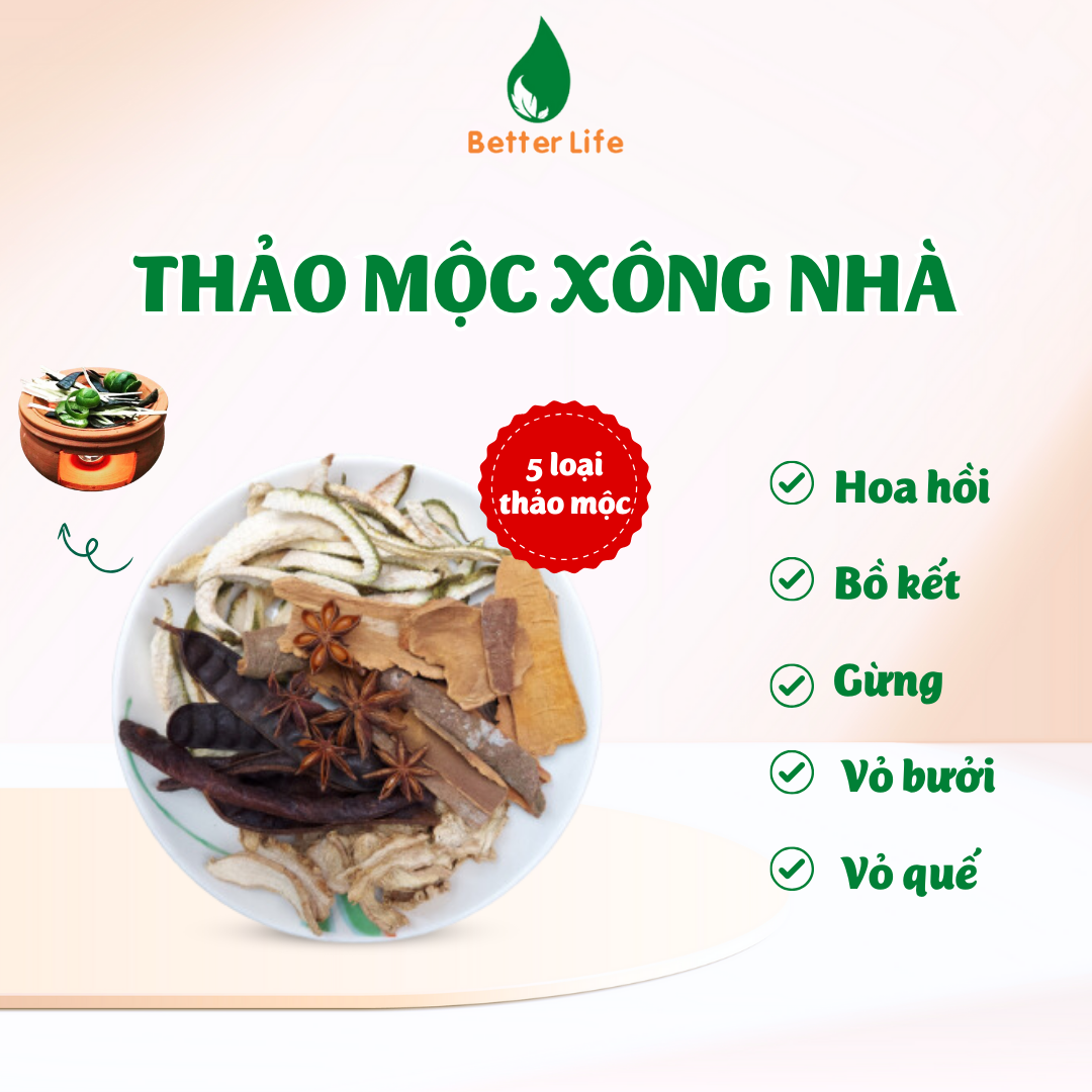 Thảo mộc xông nhà 5 loại dùng đốt với bếp xông thảo mộc giúp Thanh lọc không khí, Thanh tẩy nhà cửa, Xua đuổi côn trùng
