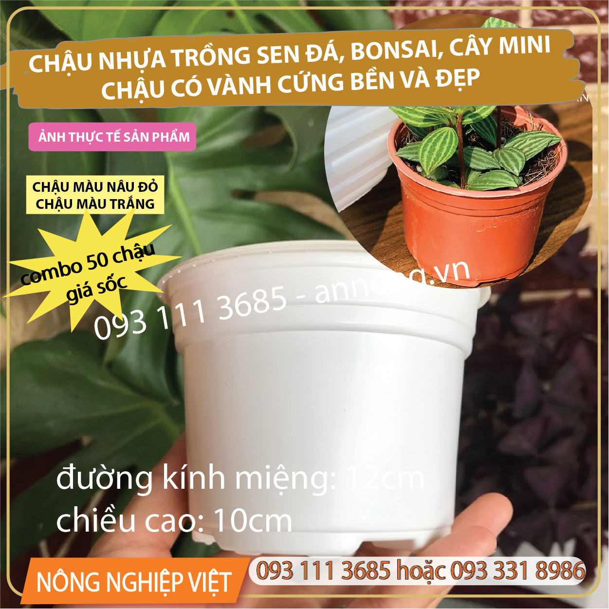 Combo 50 Chậu nhựa mini , Chậu trồng Sen Đá, Chậu nhựa trồng Xương Rồng, Bonsai