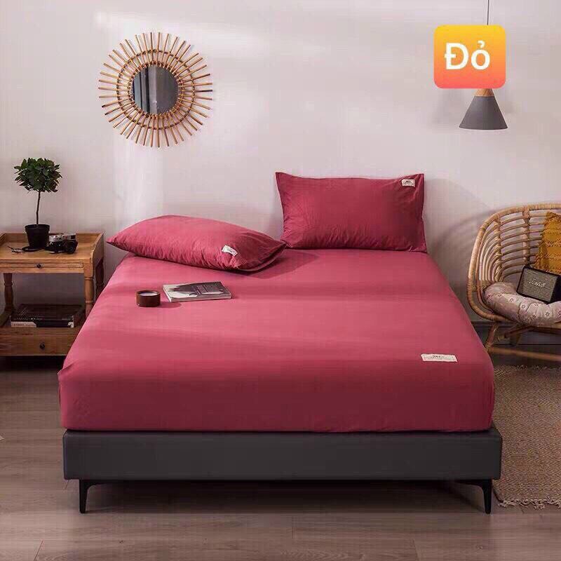 Vỏ chăn cotton tici 2m x2m2 dày mịn. Hàng cao cấp dùng được 4 mùa.