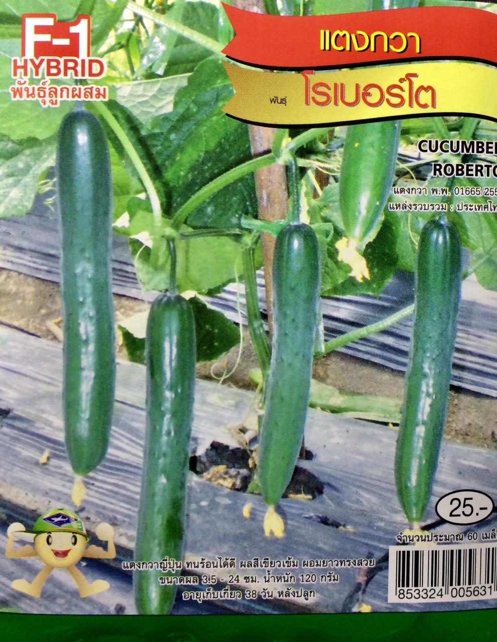 [HCM]DƯA LEO NHẬT F1 THÁI LAN _GÓI 60 HẠT  .