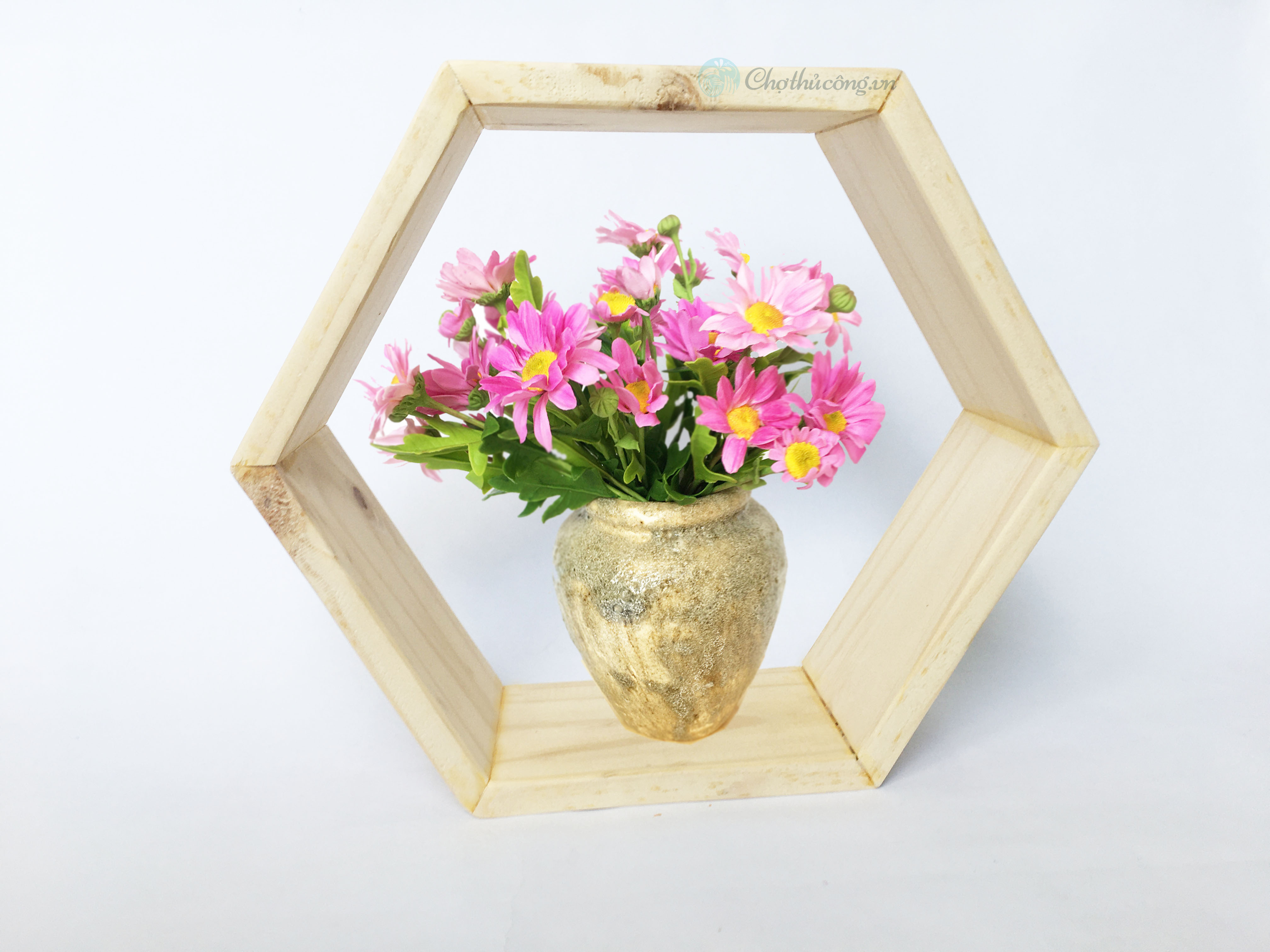 Kệ lục giác Kệ tổ ong đa năng gỗ thông decor phòng phong cách đơn giản