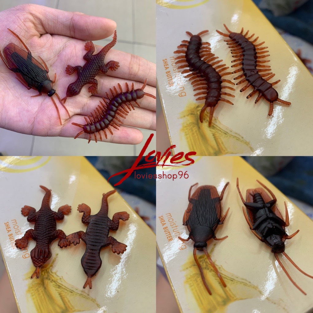 [HCM]COMBO 3 Con Gián + Thằn Lằn + Rết giả chơi khăm siêu thật siêu hết hồn