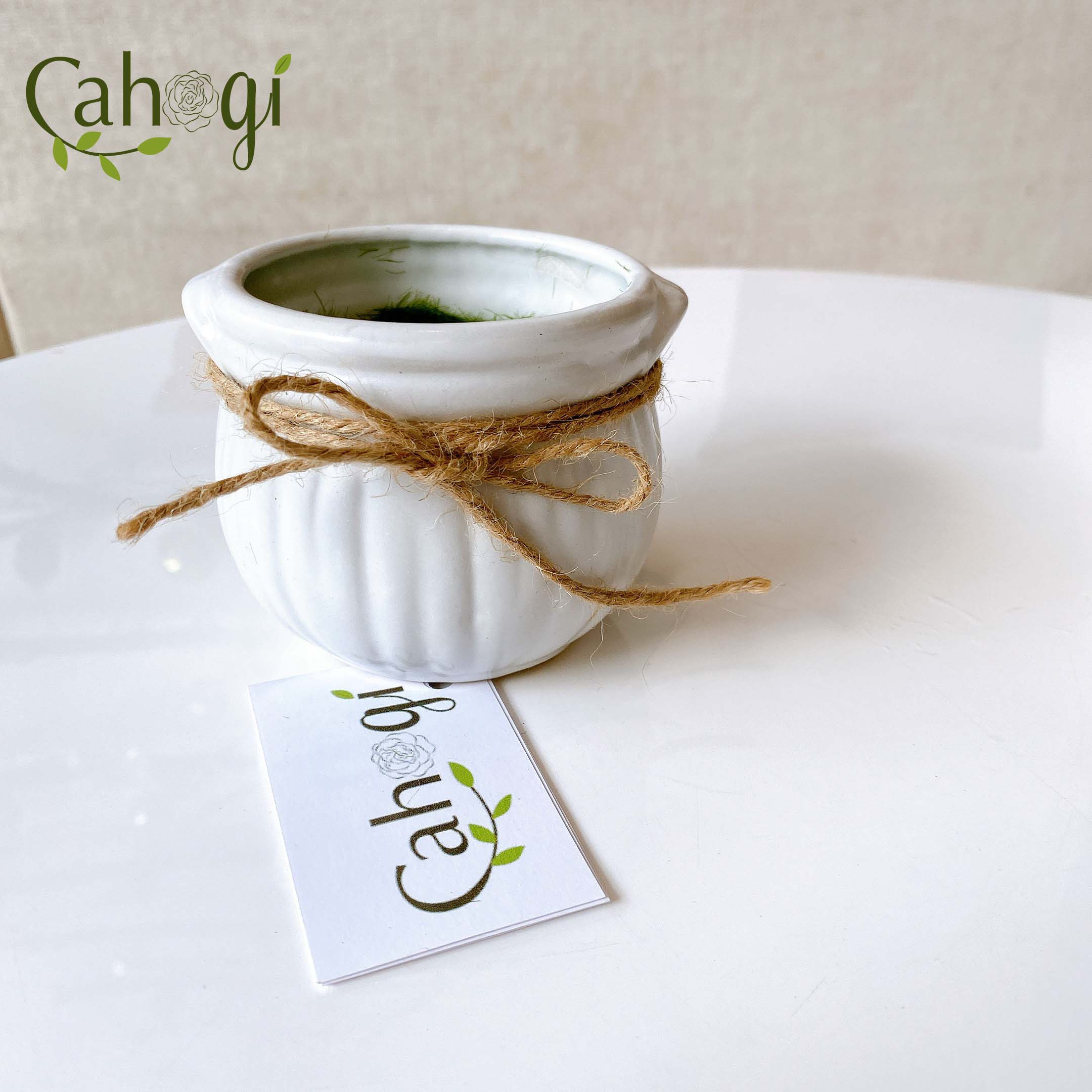 Chậu Nồi Sứ Mini Size Nhồi Xốp Phủ Cỏ Giả Dùng Trong Cắm Cây Hoa Giả