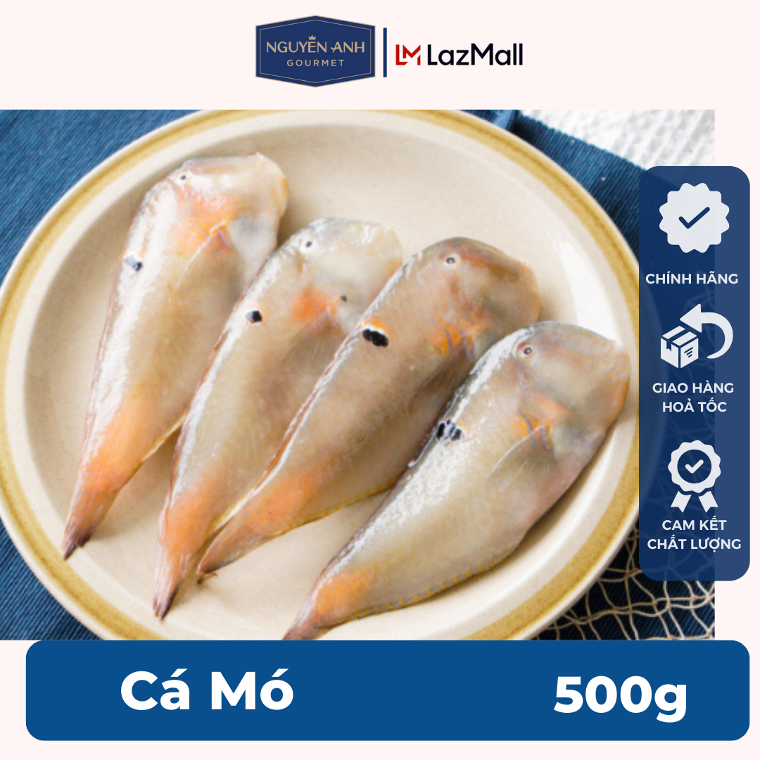 Cá Mó Nguyên Anh đặc sản Phú Quốc hải sản tươi sống như cá, tôm tươi, mực tươi loại 500gr Hải Sản Nguyên Anh.