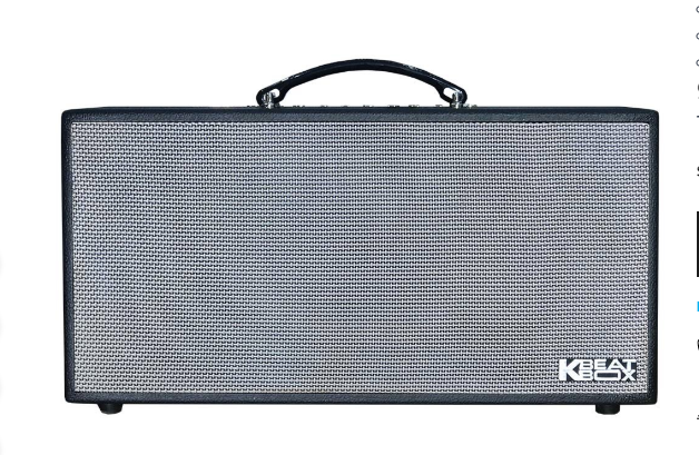 Loa acnos cs450sr
