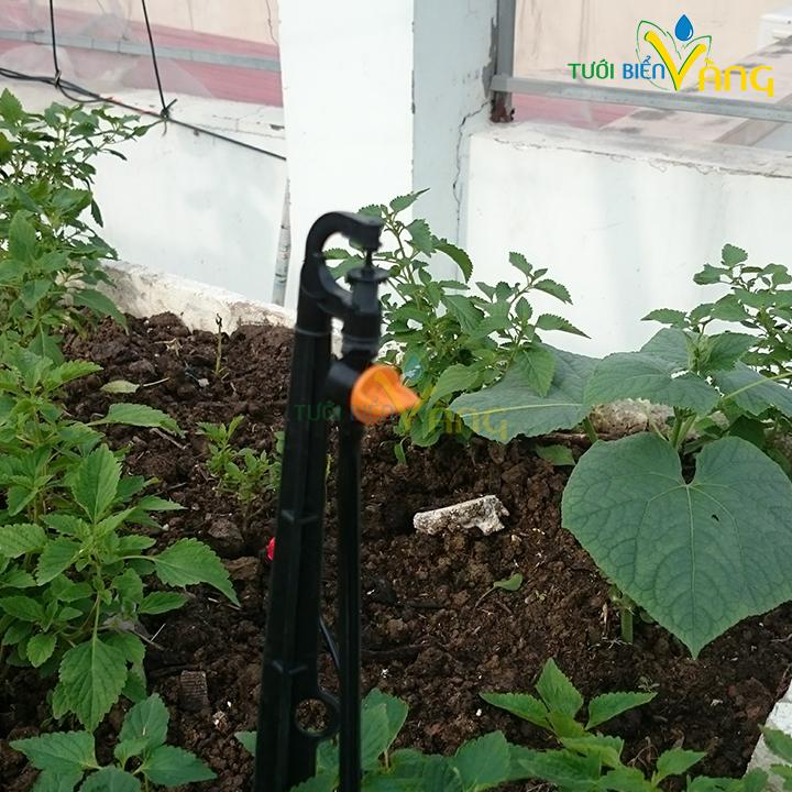 Béc G5 phun mưa cục bộ điều chỉnh được - combo giá sỉ 200 béc - phun mưa chống côn trùng