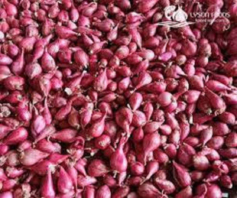 Hành tím siêu ngon nhà trồng , giá cả hợp lý