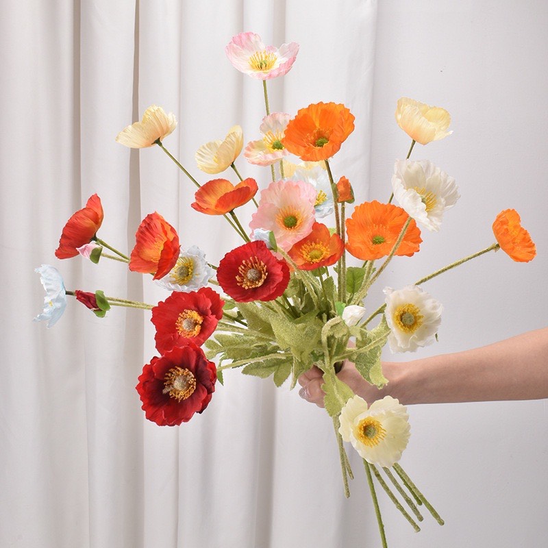 Hoa Poppy anh túc, trang trí decor chụp ảnh 072
