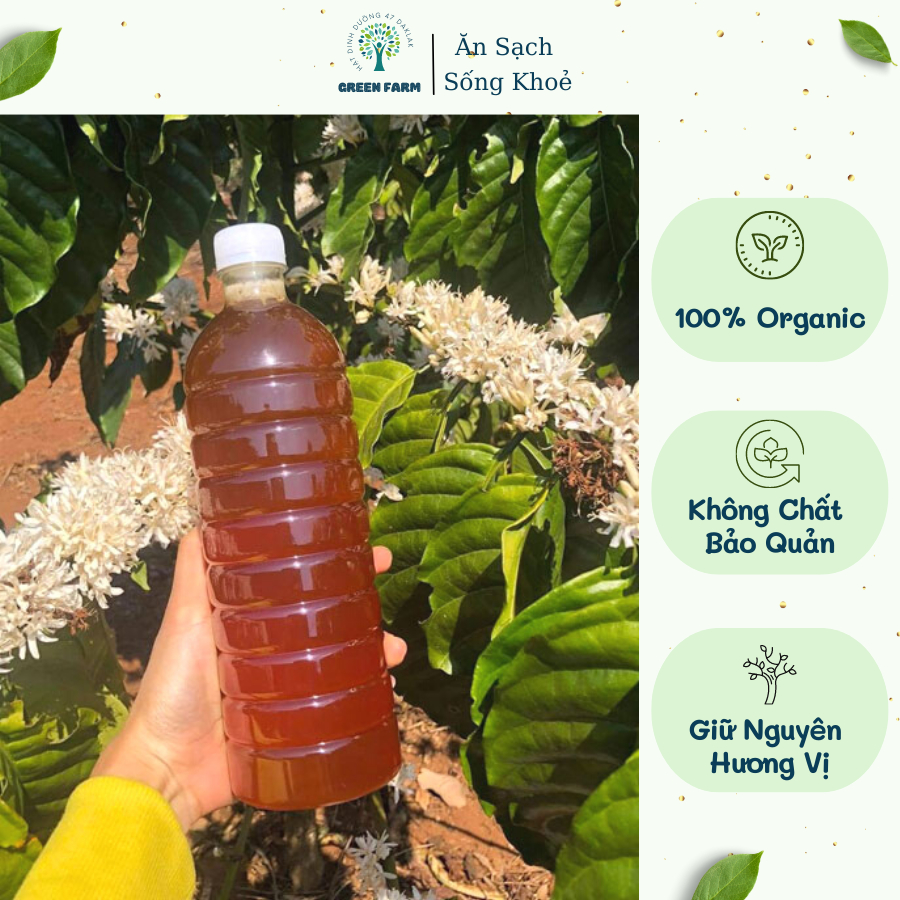Mật ong rừng hoa cà phê Daklak 1lít hàng chuẩn 100%, Mật ong nguyên chất hoa cà phê Green Farm