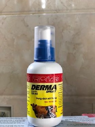 Derma spray dung dịch sát trùng vết thương 100ml