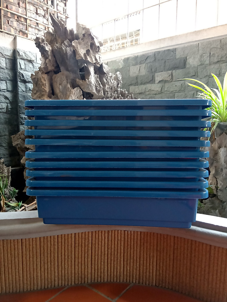 10 Chậu Trồng Rau Sạch Thông Minh, Trồng Cây, Trồng Hoa - Màu Xanh (65cmx42cmx16cm)