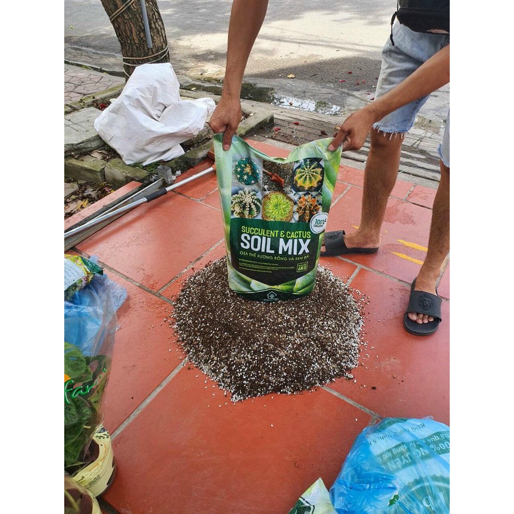 1 kg Giá thể trồng xương rồng, giá thể trồng sen đá Soid MIX