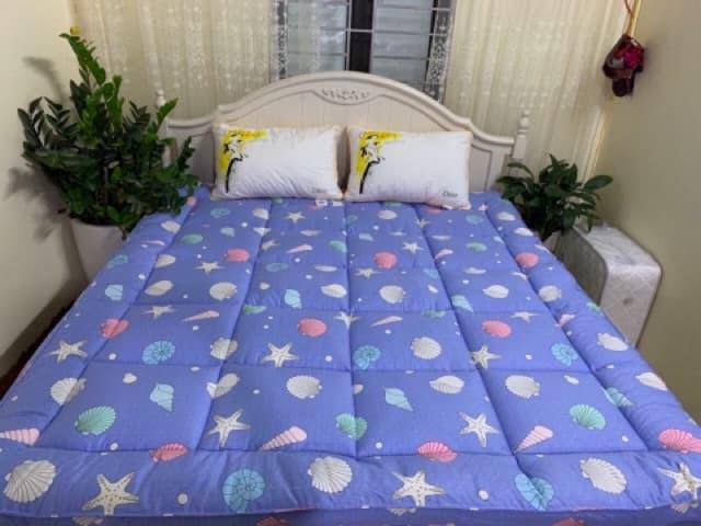 TOPPER tấm làm mềm đệm cotton hàn cao cấp
