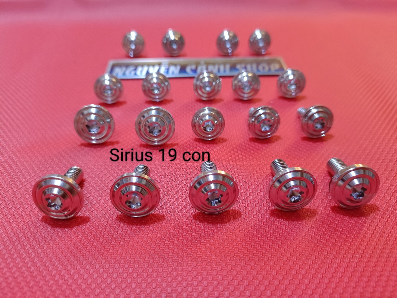 Ốc dàn áo 19 con inox 304 đầu dẹp thái xe Sirius (MS2329)
